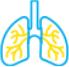 lung