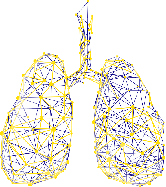 Lungs